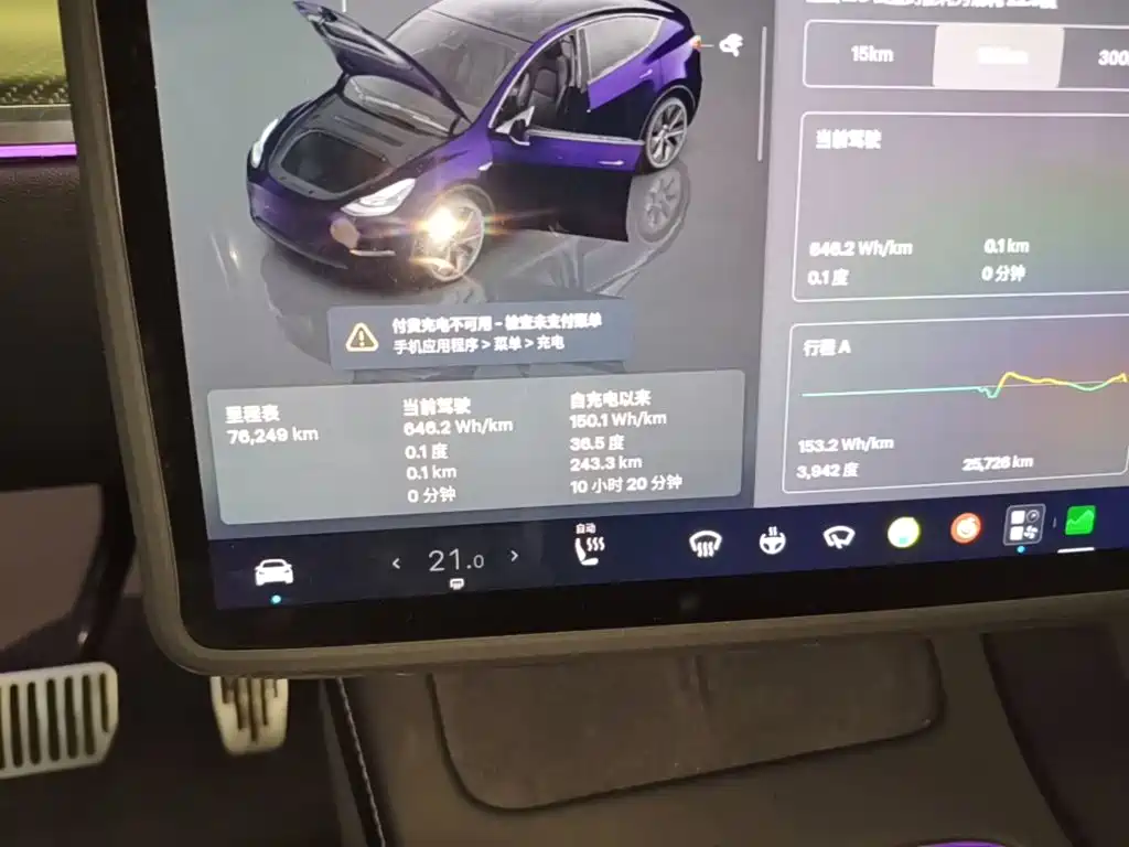 Tesla Model Y — миниатюра 12