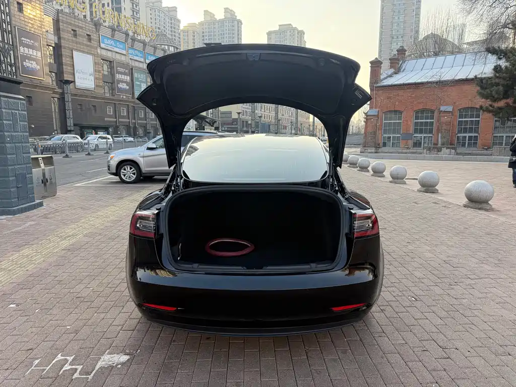 Tesla Model 3 — миниатюра 10