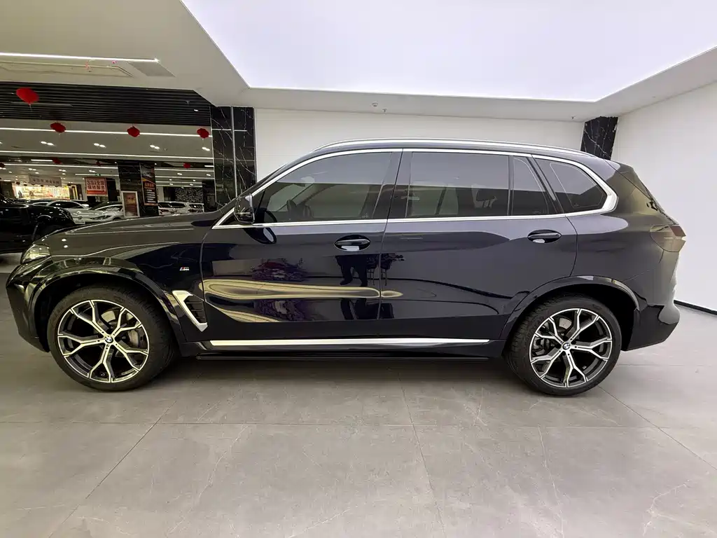 BMW X5 — миниатюра 10