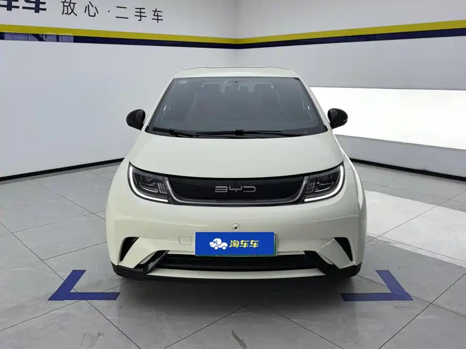BYD Dolphin — миниатюра 2