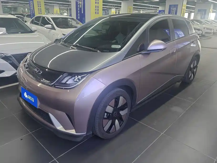 2025 BYD Dolphin - zdjęcie 1 z 16