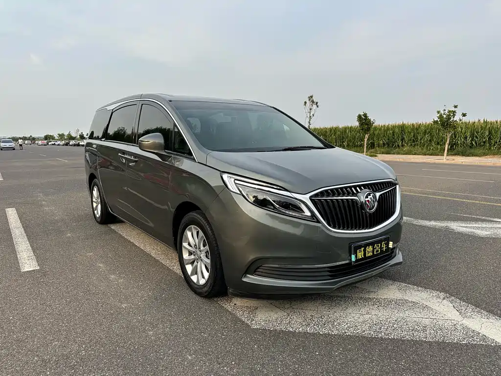 Buick GL8 — миниатюра 3