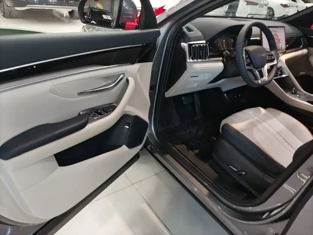 BYD PLUS New Energy — миниатюра 16