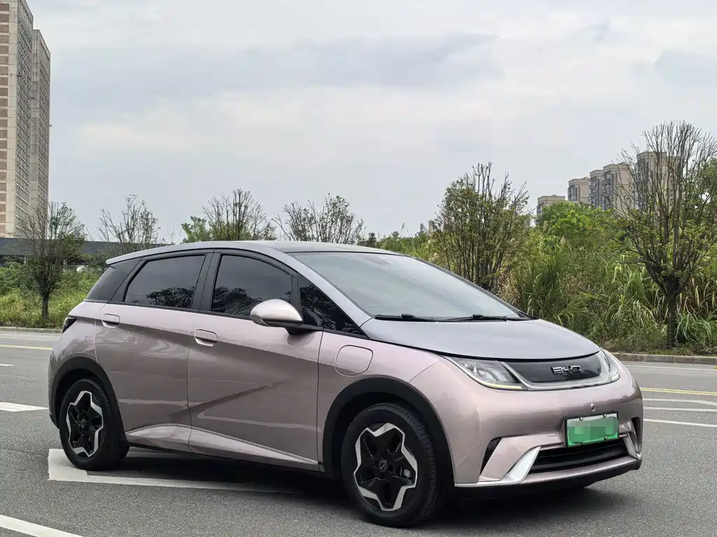 BYD Dolphin — миниатюра 3
