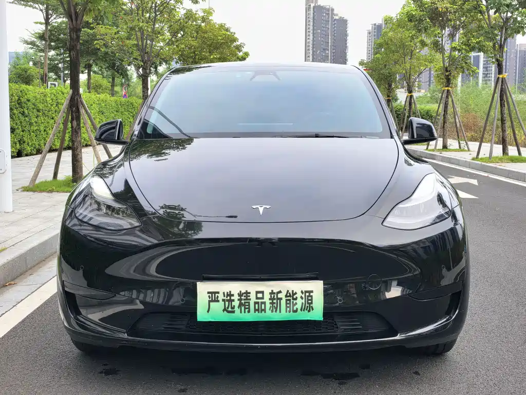 Tesla Model Y — миниатюра 2