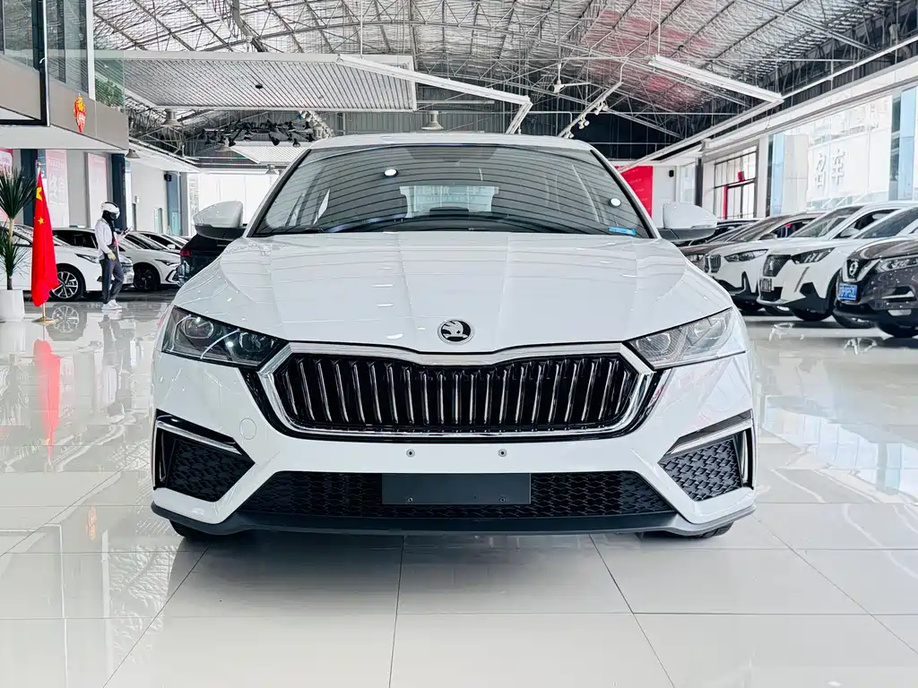 Skoda Octavia — миниатюра 2