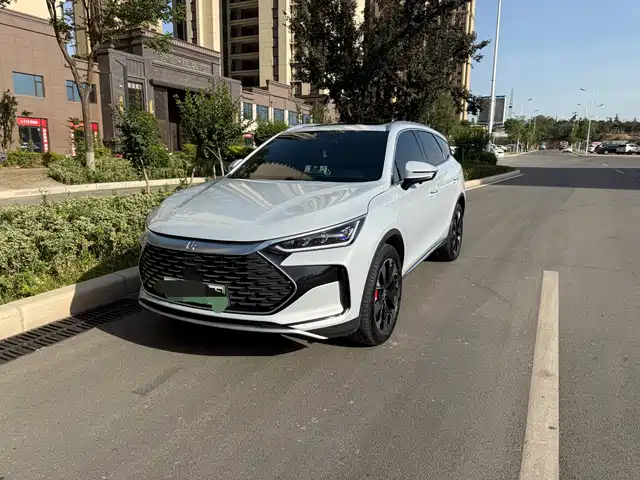 BYD TANGXIN ENERGY 2024