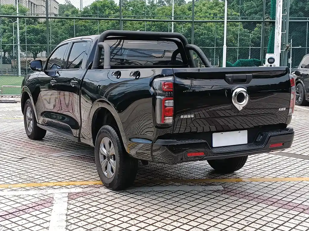 Great Wall Pao — миниатюра 5