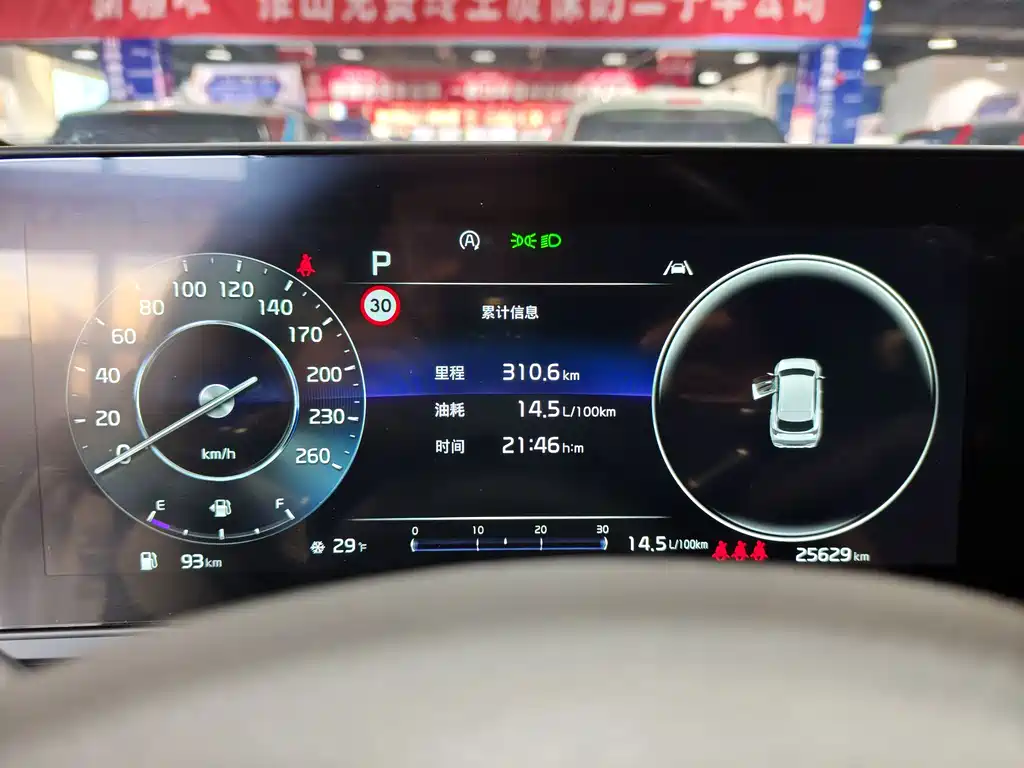 KIA LION PLATINUM EXPANDS THE WORLD