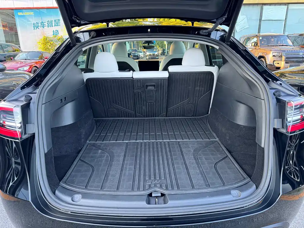 Tesla Model Y — миниатюра 10