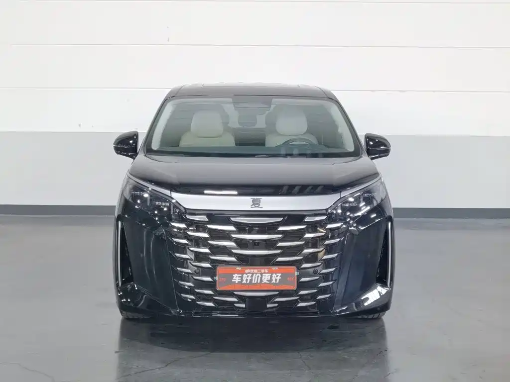 BYD Xia — миниатюра 3