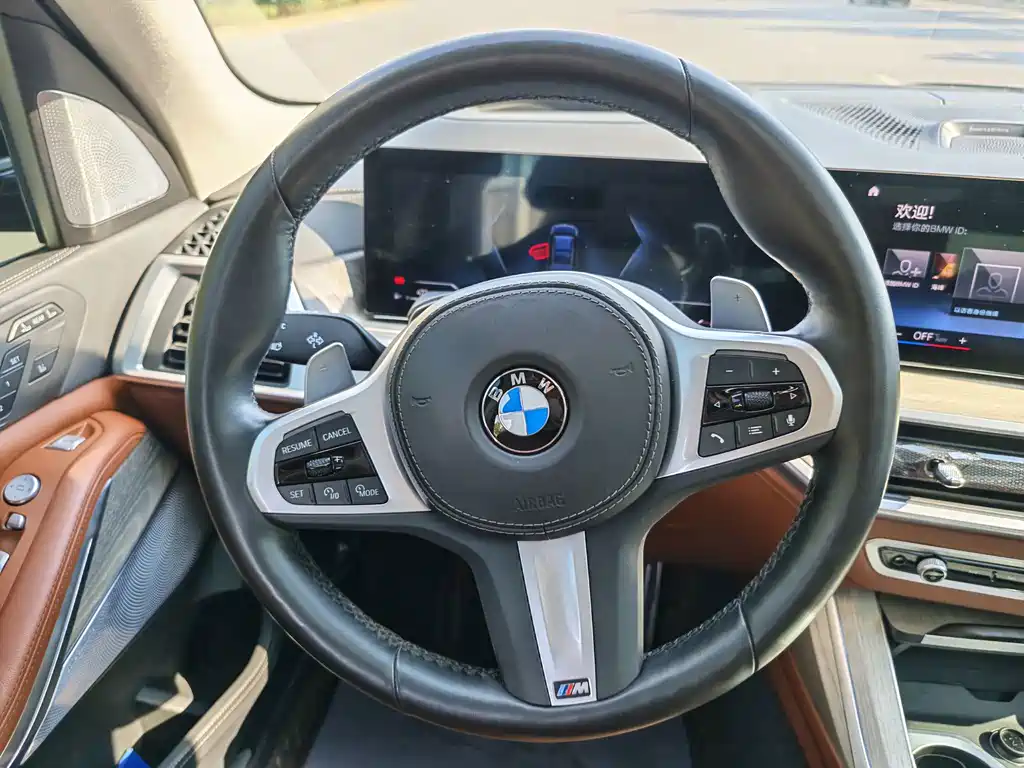 BMW X7 — миниатюра 12