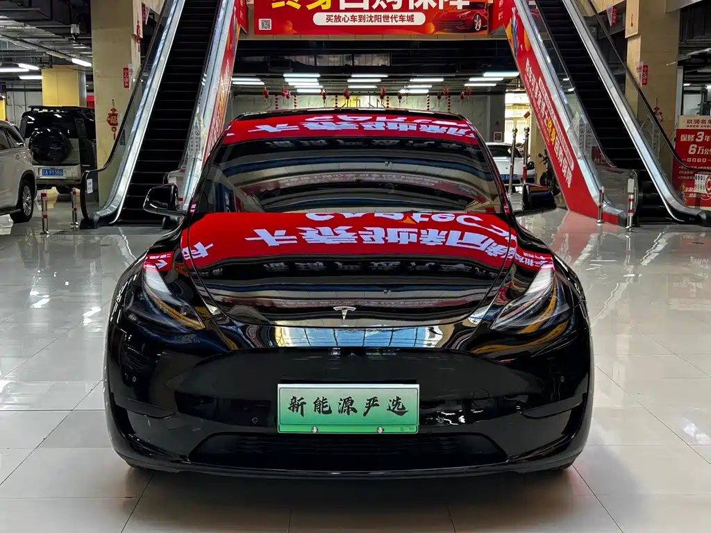 Tesla Model Y — миниатюра 2