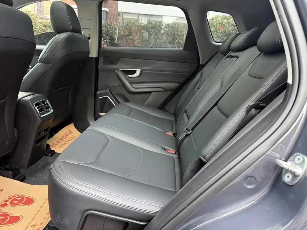 BYD SONGJIANG NEW ENERGY