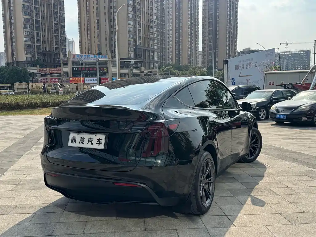 Tesla Model Y — миниатюра 7