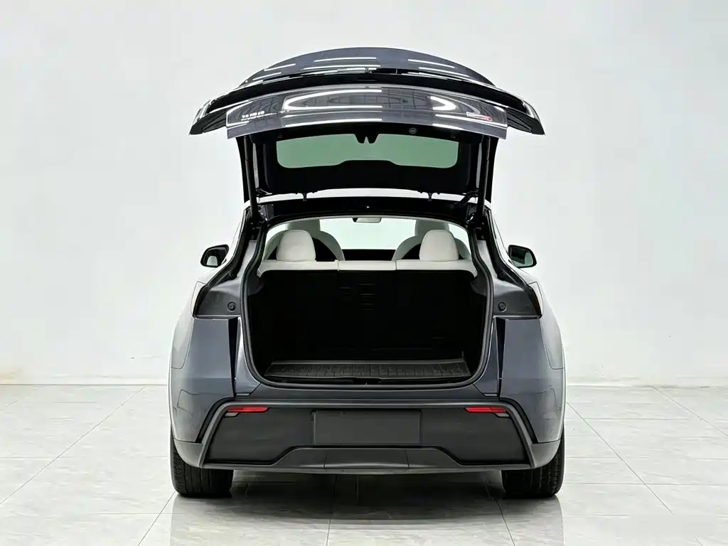 Tesla Model Y — миниатюра 19