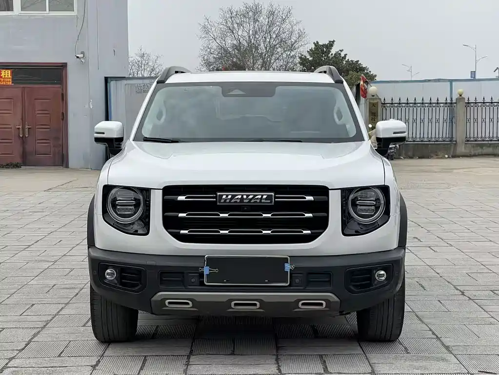 HAVAL BIG DOG