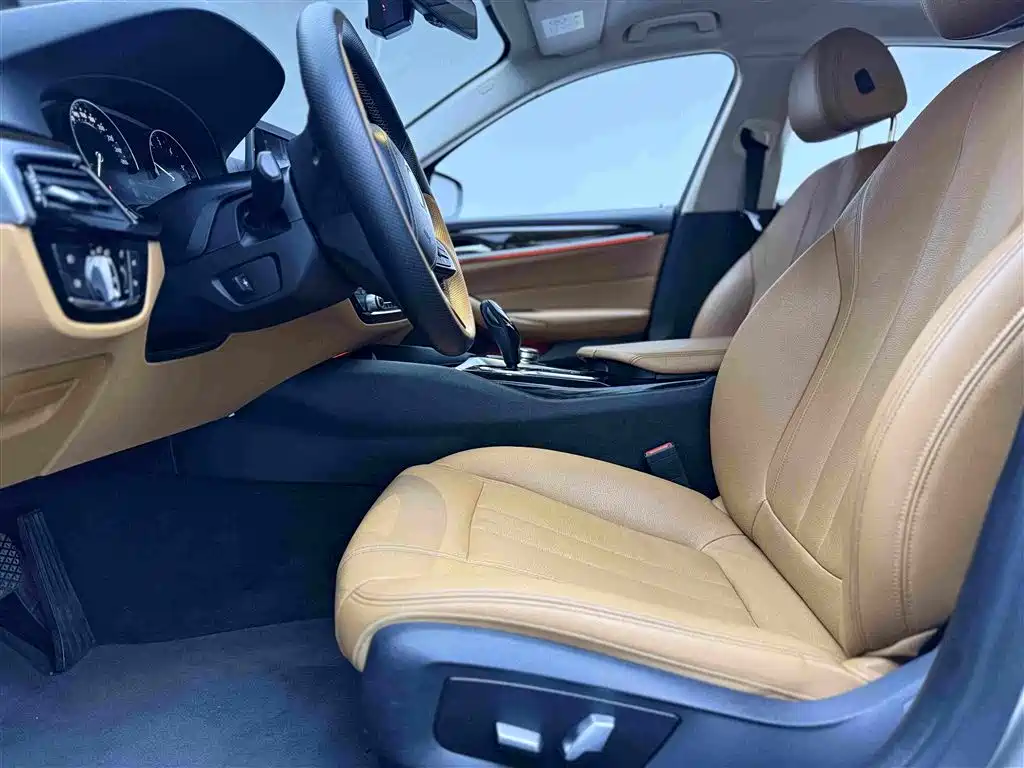 BMW 5 Series 5 2018 528Li