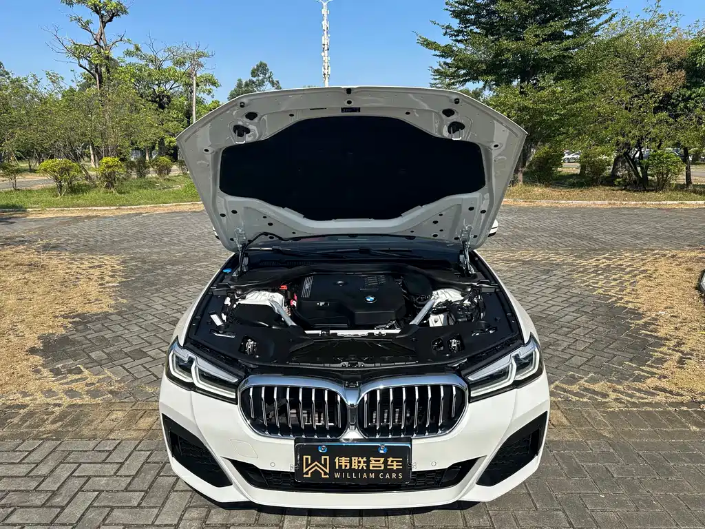 BMW 5 Series — миниатюра 21