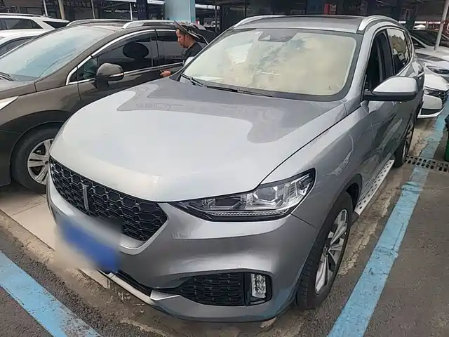 2019 Wey VV6