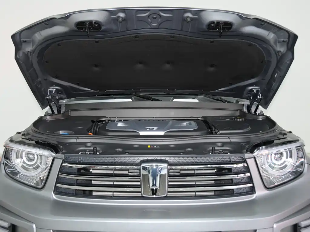 TANK TANK 700 NEW ENERGY