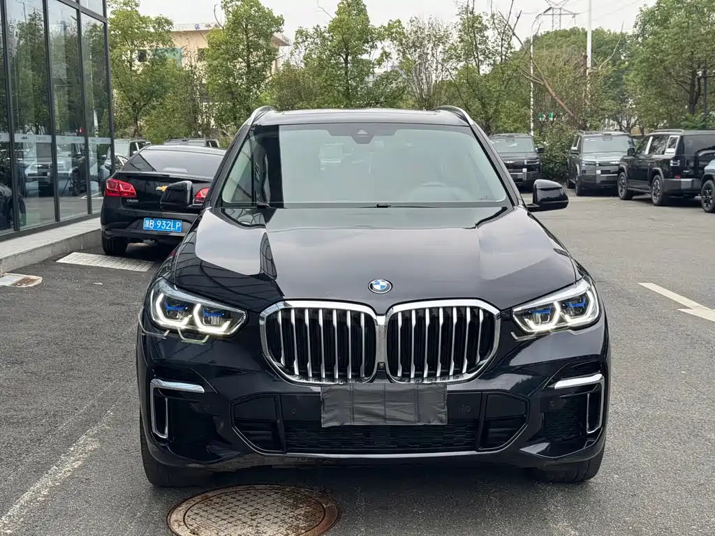 BMW X5 — миниатюра 2