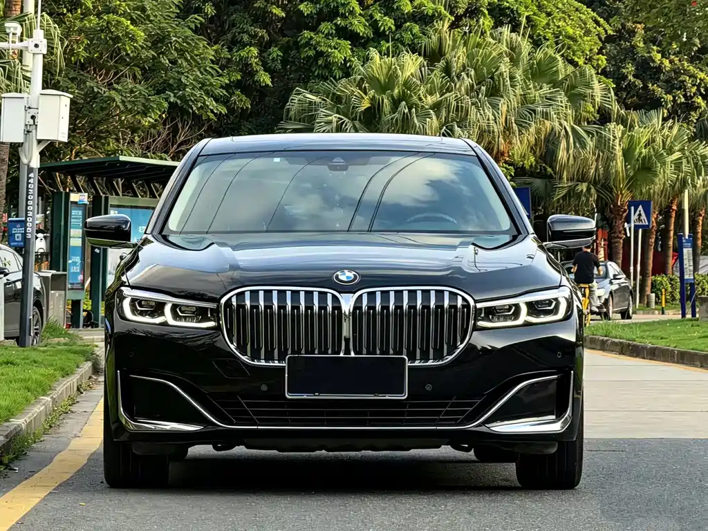 BMW 7 Series 7 2019 730Li Luxury