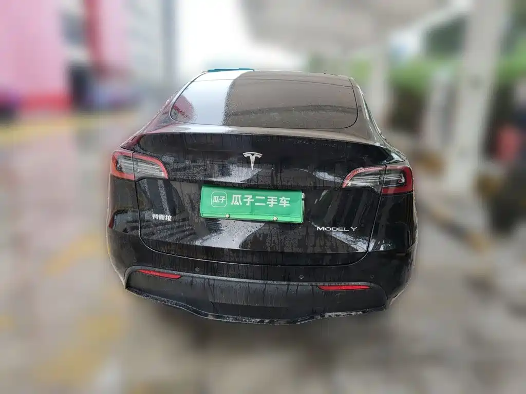 Tesla Model Y — миниатюра 5