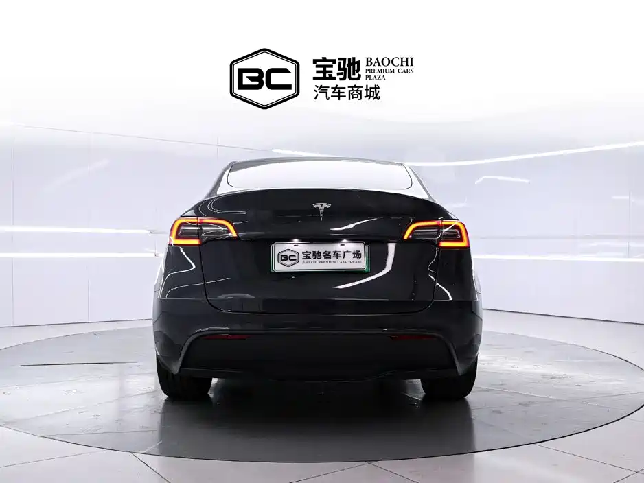 Tesla Model Y — миниатюра 4
