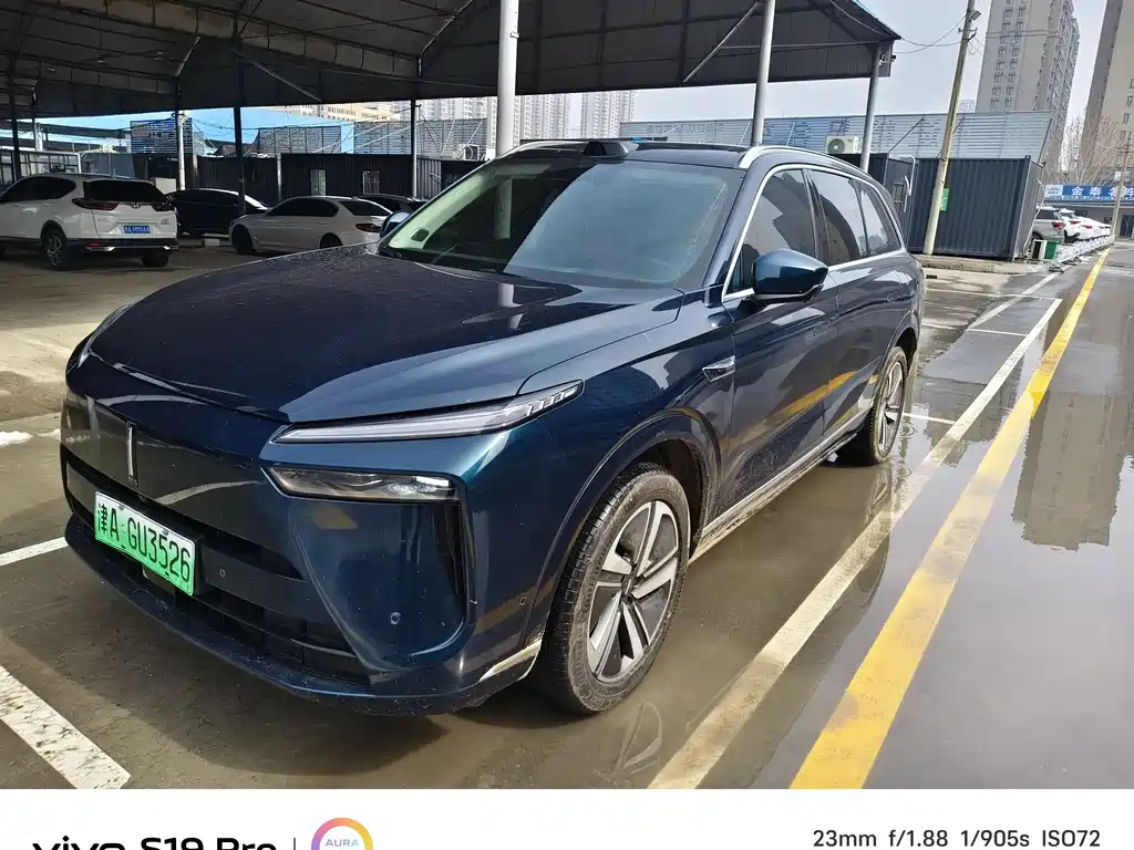 WEI PAI WEI BRAND BLUE MOUNTAIN