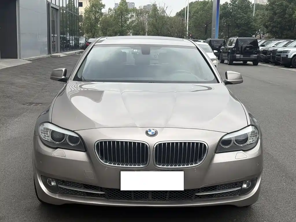 BMW 5 Series — миниатюра 2