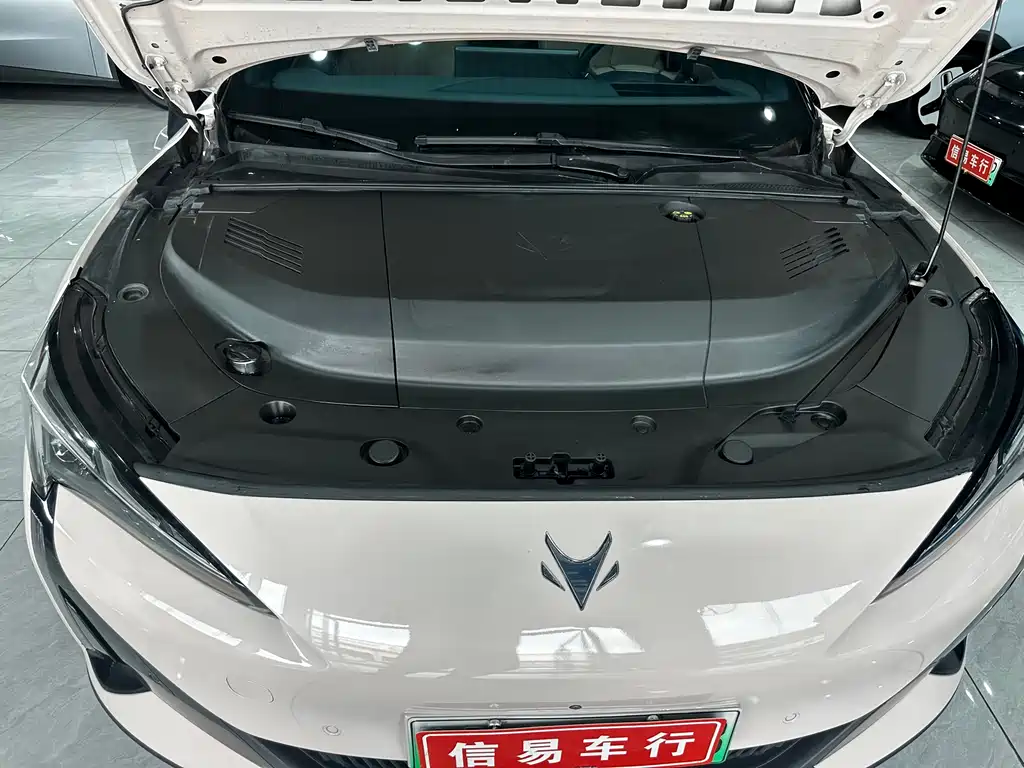 ARCFOX EXTREME FOX POLAR FOX ALPHA S5