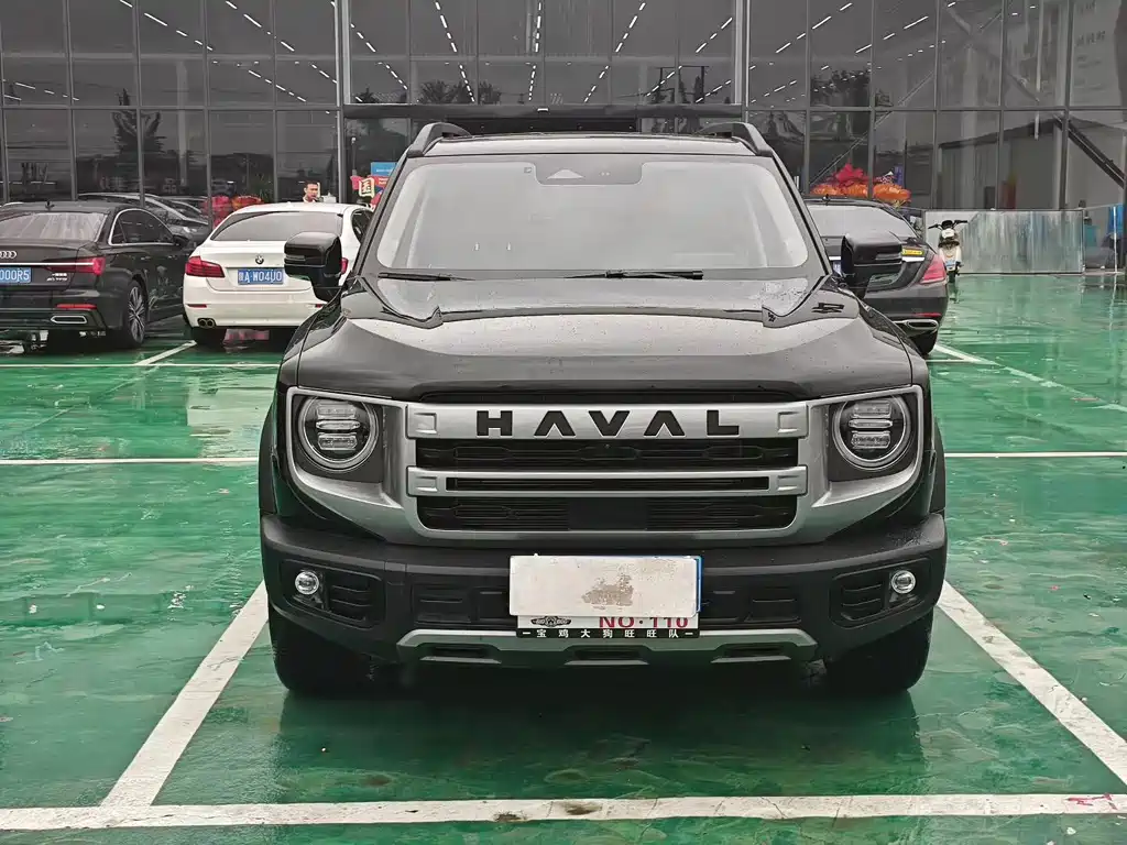 HAVAL  BIG DOG