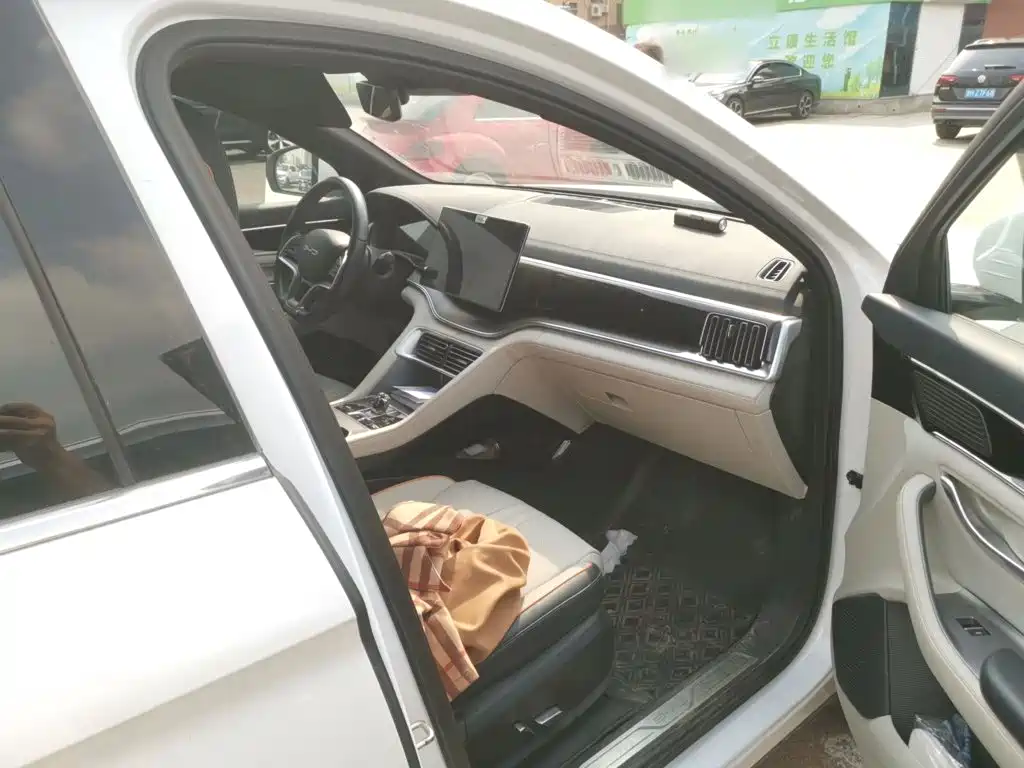 BYD PLUS New Energy — миниатюра 18