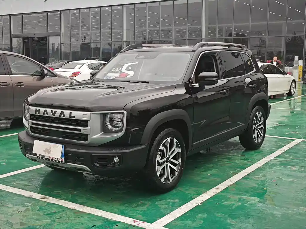 HAVAL  BIG DOG