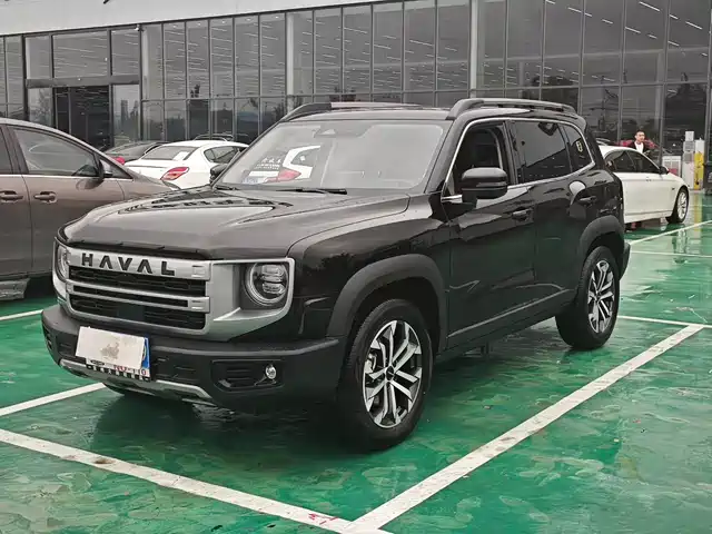 HAVAL  BIG DOG 2024