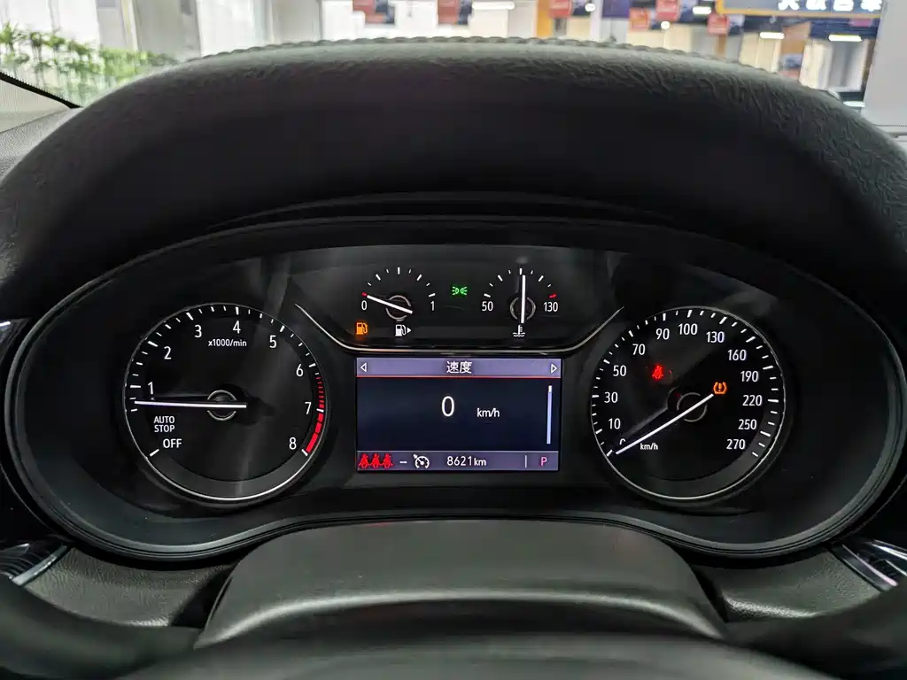 Buick Regal — миниатюра 16