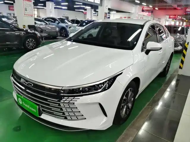 2025 BYD Destroyer