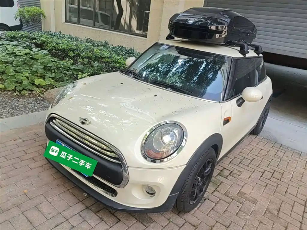 Mini Mini 2015