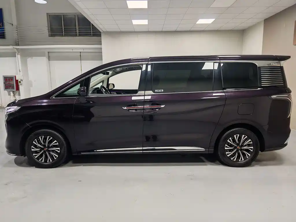 Hongqi Hongqi HQ9 — миниатюра 14