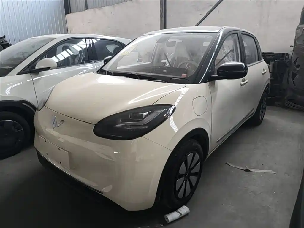 Wuling Binguo 2025 333km Enjoy