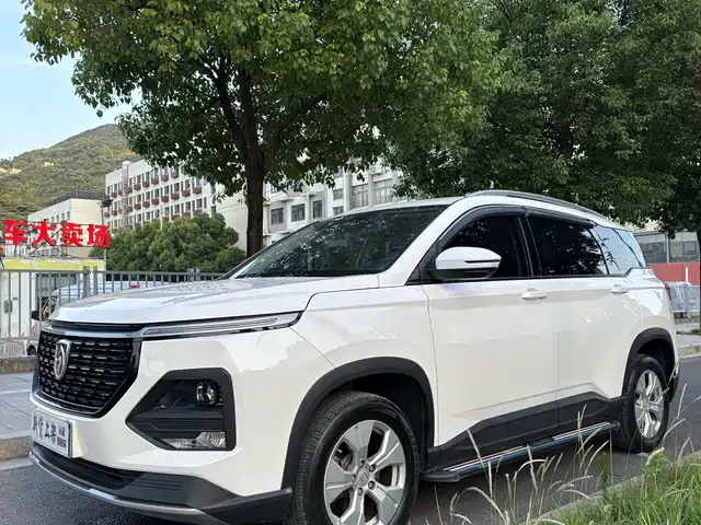 BAOJUN  530 2021