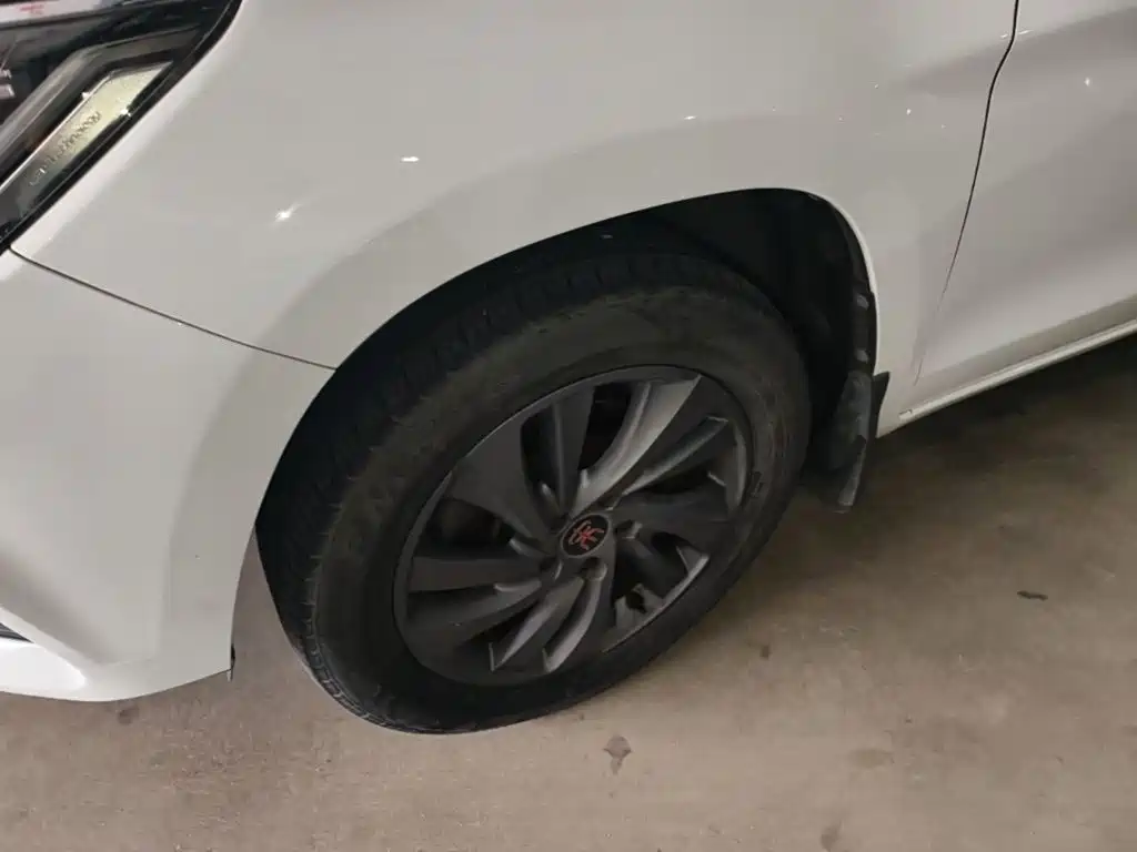 BYD Song — миниатюра 23