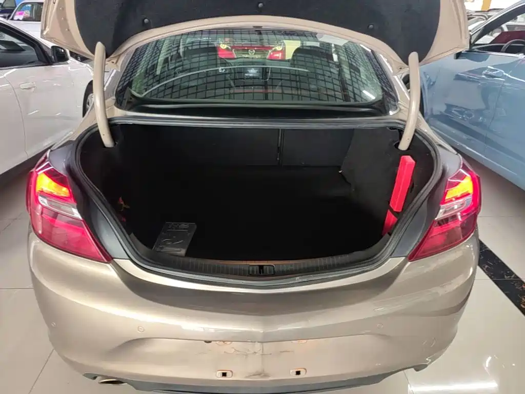 Buick Regal — миниатюра 19
