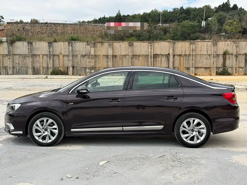 DS DS 5LS — миниатюра 3