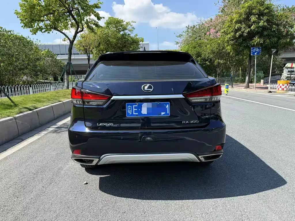 Lexus RX — миниатюра 5
