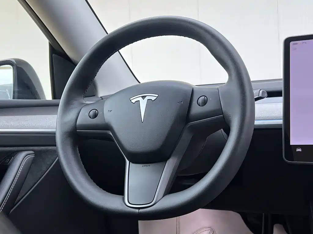 Tesla Model Y — миниатюра 17