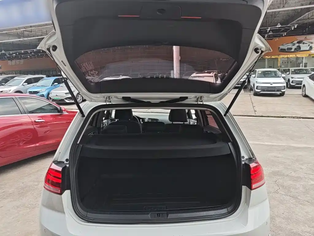 Volkswagen Golf — миниатюра 19