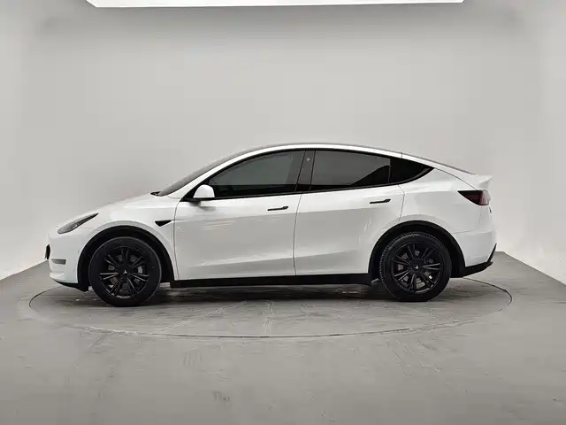 Tesla Model Y — миниатюра 3