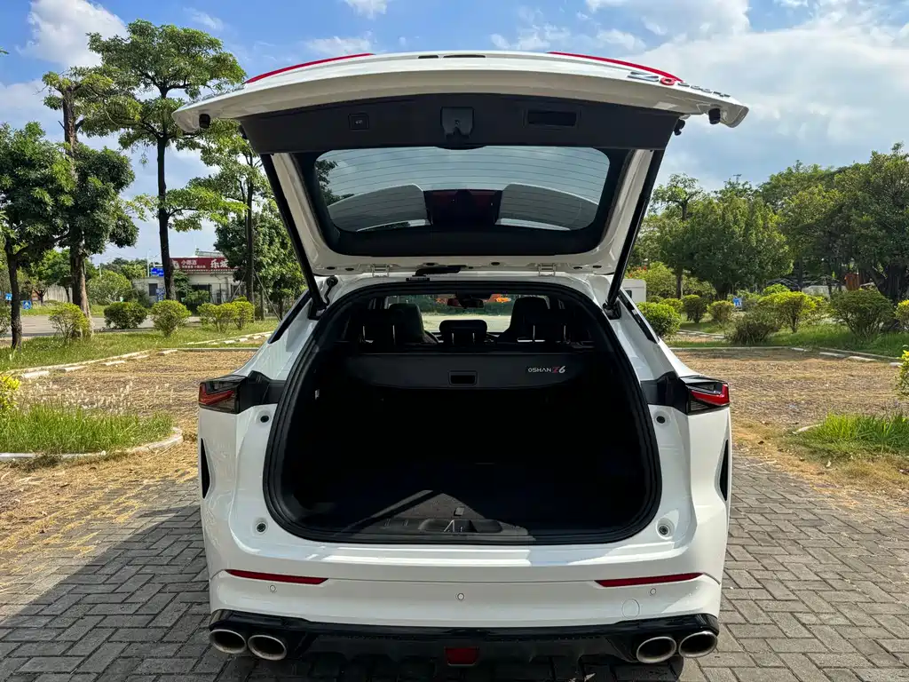 Oshan Oushang Z6 — миниатюра 18